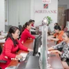 Khách hàng giao dịch tại Agribank Chi nhánh Bến Thành, Thành phố Hồ Chí Minh. (Ảnh: TTXVN phát)