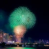 Pháo hoa chào mừng Quốc khánh. (Ảnh: Lê Đông/TTXVN)