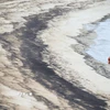 Dầu tràn trên bãi biển. (Ảnh minh họa: THX/TTXVN)