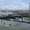 Hàng loạt tàu thuyền của ngư dân phường Thuận An, Huế đã vào bờ neo đậu. (Ảnh: TTXVN phát)