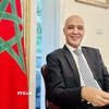 Đại sứ Maroc tại Việt Nam Jamale Chouaibi trả lời phỏng vấn báo chí. (Ảnh: Việt Đức/TTXVN)
