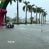  Thêm thẻ Chú thích Do ngập nước sâu, nhiều xe máy, ô tô đi vào tuyến đường Phan Chu Trinh, phường Hạc Thành, Thanh Hóa bị chết máy. (Ảnh: Việt Hoàng/TTXVN)