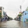 Một số tuyến đường xã Hải Thịnh (Ninh Bình) đã bị ngập. (Ảnh: Thái Thuần/TTXVN)