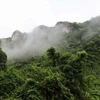 Một góc rừng trong vùng lõi Vườn quốc gia Phong Nha-Kẻ Bàng (tỉnh Quảng Trị). (Ảnh: Kha Phạm/TTXVN)