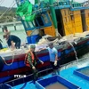 Tàu cá HP-90671-TS được lai dắt vào bờ sửa chữa và 6 ngư dân đều an toàn, sức khỏe ổn định. (Ảnh: TTXVN phát)