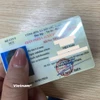 Giấy phép lái xe. Ảnh minh họa. (Nguồn: Vietnam+)