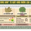 Việt Nam thu “vàng xanh” từ xuất khẩu những loại lá quen thuộc