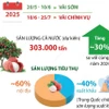 Sản lượng thu hoạch vải thiều dự kiến tăng 30% trong niên vụ 2025