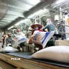 ttxvn-gia-gao-2.jpg.webp