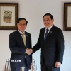 Phó Thủ tướng Bùi Thanh Sơn hội kiến Thủ tướng Lào Sonexay Siphandone. (Ảnh: Nguyễn Trường/TTXVN)