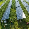 Các tấm năng lượng mặt trời. (Ảnh: AFP/TTXVN)
