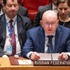 Đại sứ Nga tại Liên hợp quốc Vasily Nebenzya trong một phiên họp của Hội đồng Bảo an Liên hợp quốc. (Ảnh: Getty Images/TTXVN)