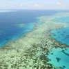 Rạn san hô Great Barrier ở Australia. (Ảnh minh họa: Kyodo/TTXVN)