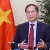 Phó Thủ tướng, Bộ trưởng Ngoại giao Bùi Thanh Sơn. (Ảnh: Phạm Kiên/TTXVN)