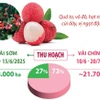 Bắc Giang dự kiến thu hoạch hơn 165.000 tấn vải thiều trong năm 2025