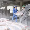 Công nhân Công ty Cổ phần Ximăng La Hiên-VVMI bốc xếp ximăng cho khách hàng. (Ảnh: Hoàng Nguyên/TTXVN)