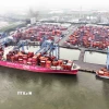 Container hàng hóa tại Cảng Quốc tế Tân Cảng-Cái Mép. (Ảnh: Vũ Sinh/TTXVN)