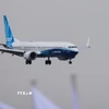 Máy bay của hãng Boeing. (Ảnh: THX/TTXVN)