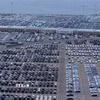 Ôtô chờ xuất khẩu tại cảng ở San Diego, bang California (Mỹ), ngày 26/3/2025. (Ảnh: Reuters/TTXVN)