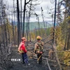 Cây cối bị thiêu rụi do cháy rừng tại British Columbia (Canada). (Ảnh: THX/TTXVN)