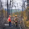Cây cối bị thiêu rụi do cháy rừng tại British Columbia (Canada). (Ảnh: THX/TTXVN)
