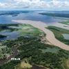 Sông Amazon tại Manaus, bang Amazonas (Brazil). (Ảnh minh họa: THX/TTXVN)