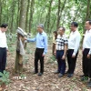Đại sứ Nguyễn Minh Vũ (thứ ba, trái) thăm vườn cao su của Công ty Trách nhiệm Hữu hạn Phát triển Cao su Hoàng Anh Mang Yang K thuộc Tập đoàn Công nghiệp cao su Việt Nam, trên địa bàn tỉnh Ratanakiri (Campuchia). (Ảnh: Huỳnh Thảo/TTXVN)