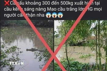 Tài khoản Facebook mang tên N.H.T đăng tải thông tin cá sấu nặng 300-500kg xuất hiện trên kênh xáng Nàng Mau (Hậu Giang) là sai sự thật. (Ảnh: TTXVN phát)