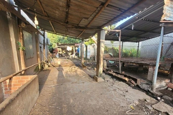 Một cơ sở chăn nuôi bò và dê tại ấp Nam, xã Hòa Long, thành phố Bà Rịa đã chấm dứt hoạt động chăn nuôi do nằm ngoài vùng quy hoạch. (Ảnh: Hoàng Nhị/TTXVN)