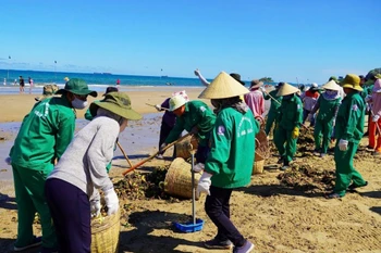 Huy động lực lượng thu gom rác tại bãi Sau, thành phố Vũng Tàu. (Ảnh: Đoàn Mạnh Dương/TTXVN)