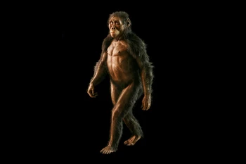 Ảnh minh họa. (Nguồn: Science)