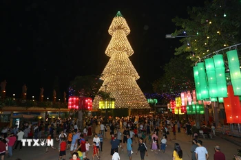 Cây thông nón lá được thắp sáng suốt mùa Giáng sinh 2024, phục vụ nhu cầu tham quan và chiêm ngưỡng của khách du lịch. (Ảnh: Lê Xuân/TTXVN)