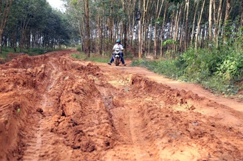 Người dân tại 2 xã Đắk R’la và Cư K’nia nhiều lần kiến nghị về việc thi công chậm trễ, ảnh hưởng tới việc đi lại, an toàn giao thông. (Ảnh tư liệu Hưng Thịnh/TTXVN)