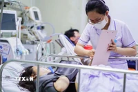 Ảnh minh họa. (Ảnh: TTXVN phát)