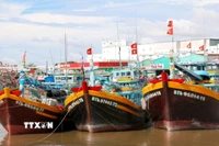 Tàu cá là một trong những phương tiện sử dụng diesel. (Nguồn: TTXVN)