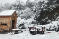 Tuyết rơi dày tạo nên cảnh đẹp như tranh vẽ. (Ảnh: Mạnh Hùng/TTXVN)