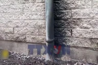 Hà Lan: Nổ tại trường học Do Thái ở Amsterdam