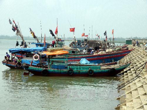 Tỉnh Bạc Liêu chủ động ứng phó với siêu bão Haiyan ảnh 1