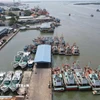 Cảng cá Cát Lở (phường Phước Thắng, Thành phố Hồ Chí Minh). (Ảnh: Đoàn Mạnh Dương/TTXVN)
