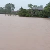 Mưa lũ do bão số 1 khiến 6 người thiệt mạng và mất tích