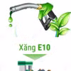 Thí điểm bán xăng E10 tại Hà Nội, TP Hồ Chí Minh và Hải Phòng từ ngày 1/8/2025 