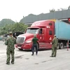 Nhiều cửa khẩu tạm dừng thông quan hàng hóa dịp Tết