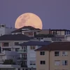 Thế giới “đắm mình” trong siêu trăng lớn nhất năm 