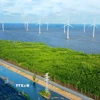 Cánh đồng điện gió Cà Mau. (Ảnh: Chanh Đa/TTXVN)