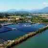 Vùng nuôi trồng thủy sản tại xã Đường Hoa (Quảng Ninh). (Ảnh: Đức Hiếu/TTXVN)