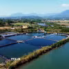 Vùng nuôi trồng thủy sản tại xã Đường Hoa (Quảng Ninh). (Ảnh: Đức Hiếu/TTXVN)