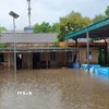 Trung tâm xúc tiến đầu tư tỉnh Tuyên Quang (phường Minh Xuân, thành phố Tuyên Quang) bị ngập úng do mưa lớn. (Ảnh Hoàng Hải/TTXVN)