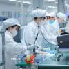 Việt Nam đã và đang triển khai chiến lược đào tạo nhân lực chất lượng cao ngành công nghiệp bán dẫn. (Ảnh: Hoàng Hiếu/TTXVN)