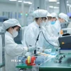 Việt Nam đã và đang triển khai chiến lược đào tạo nhân lực chất lượng cao ngành công nghiệp bán dẫn. (Ảnh: Hoàng Hiếu/TTXVN)