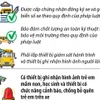 Xe ôtô chở trẻ em, học sinh phải sơn màu vàng đậm và có thiết bị cảnh báo 